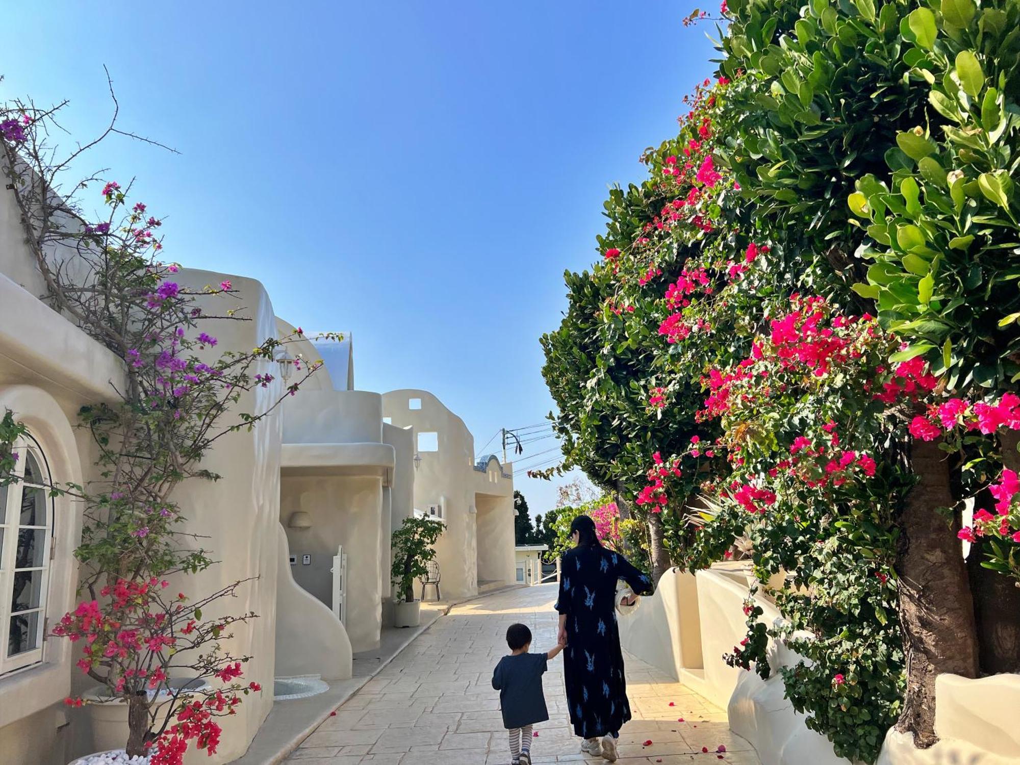 Yuki Suite Kourijima ناكيجين المظهر الخارجي الصورة